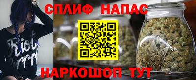 ПСИЛОЦИБИНОВЫЕ ГРИБЫ Камышлов
