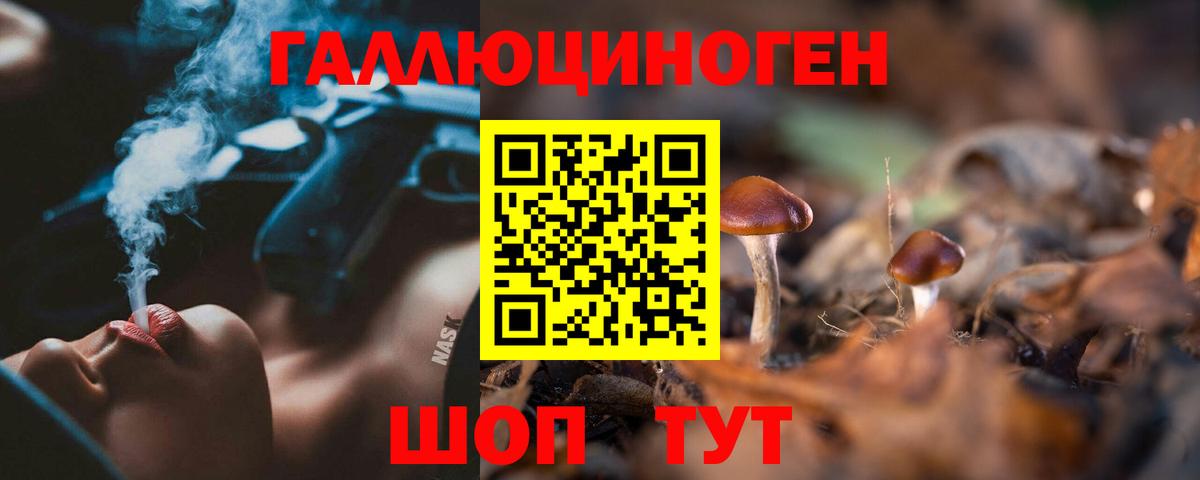 Кызыл  Псилоцибиновые грибы Cubensis  Вход с VPN  Псилоцибиновые грибы мухоморы 